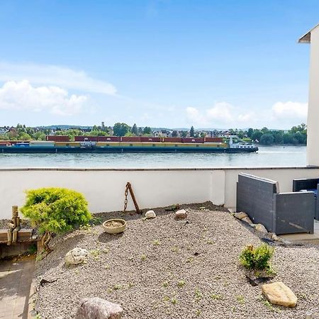 Tiny Apartment With Spacious Terrace On The Rhine 新维德 外观 照片