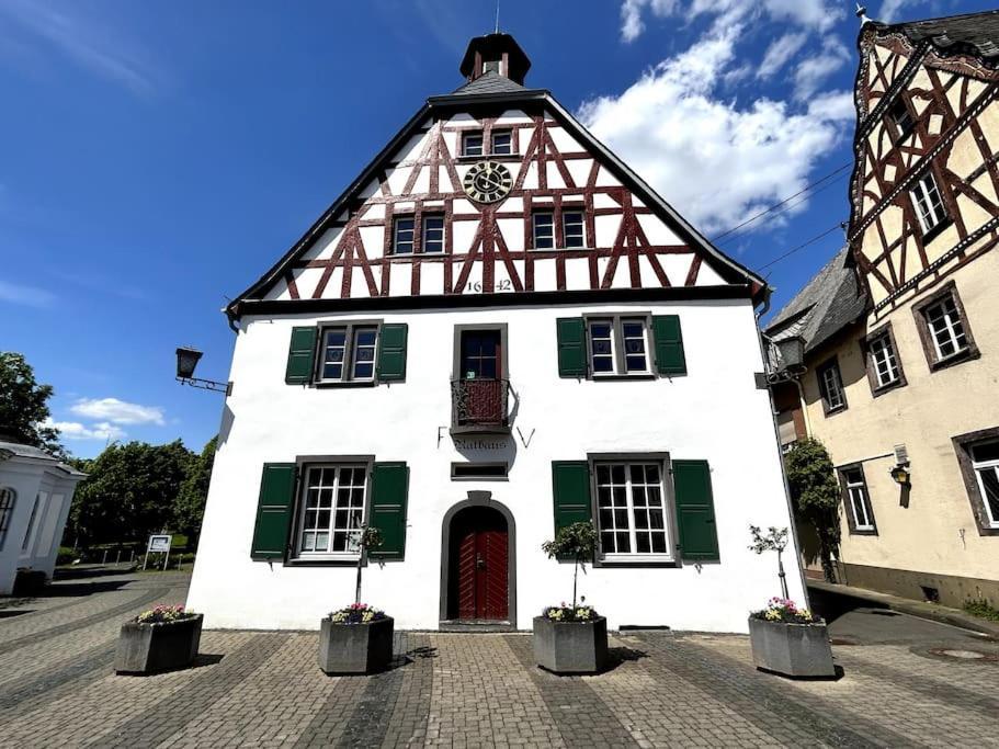 Tiny Apartment With Spacious Terrace On The Rhine 新维德 外观 照片