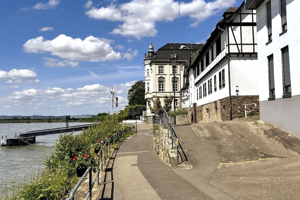 Tiny Apartment With Spacious Terrace On The Rhine 新维德 外观 照片